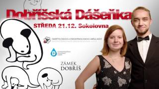 Dobříšská Dášeňka: Otázky a odpovědi